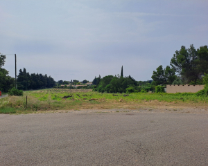 Terres du Soleil - SERIGNAN DU COMTAT  - LES VIGNES