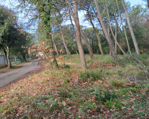 Terres du Soleil - SUZE LA ROUSSE - LES BOIS DE SAINT TURQUOIT