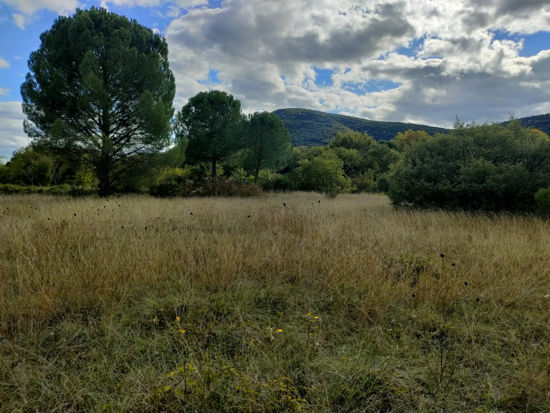 Terres du Soleil - Programme LE CLOS TIMOTHÉ