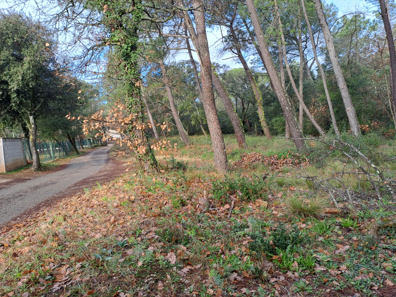 Terres du Soleil - Programme LES BOIS DE SAINT TURQUOIT